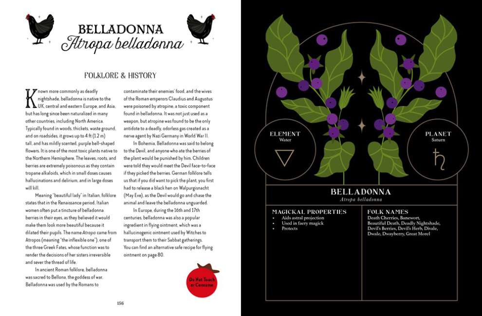 Folklore Magic Book