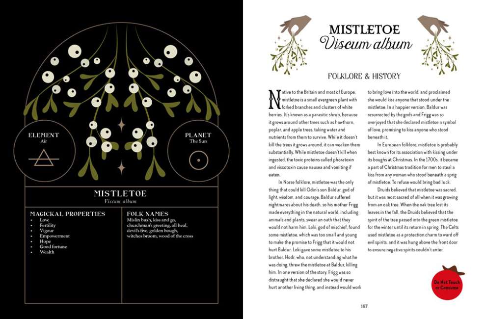 Folklore Magic Book