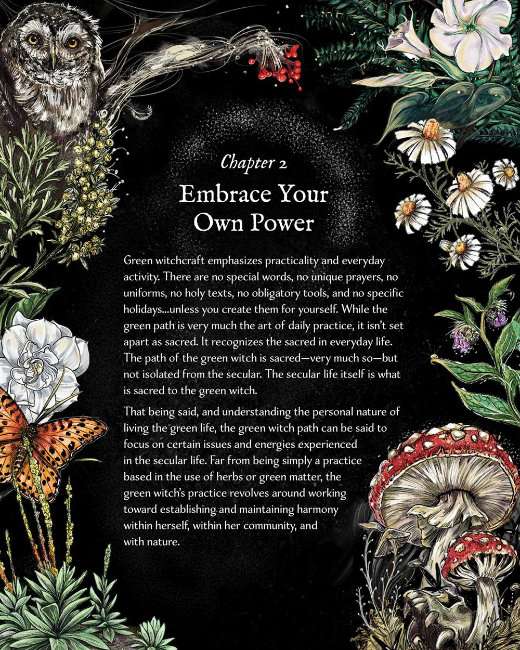 The Green Witch Illustrated Book