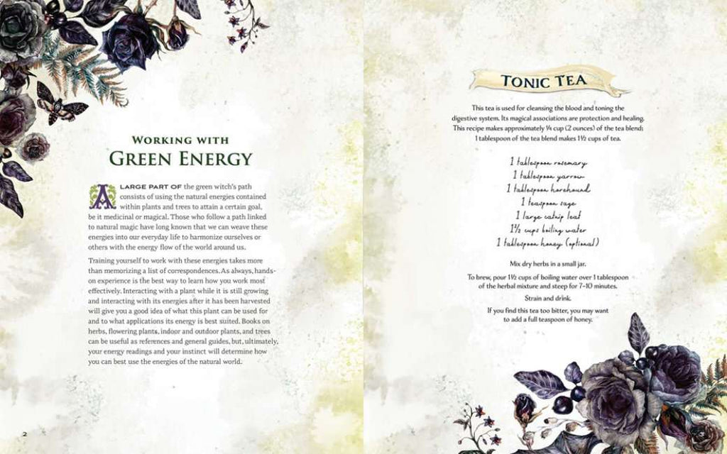 The Green Witch Illustrated Book