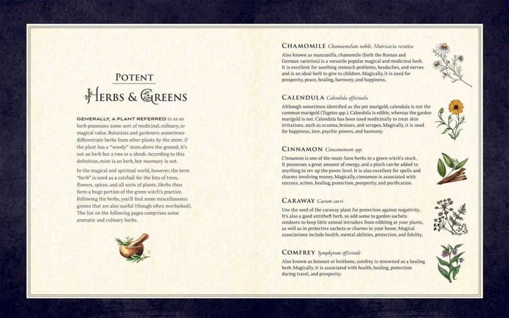The Green Witch Illustrated Book