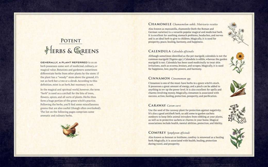The Green Witch Illustrated Book