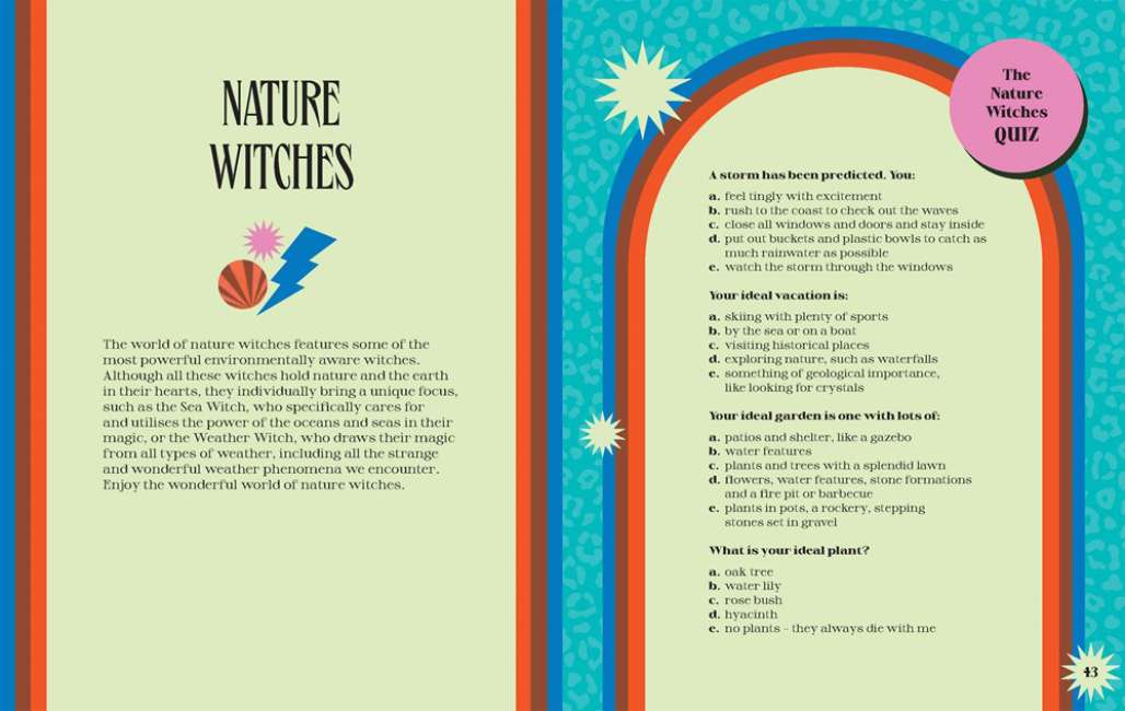 The Witch Within Book