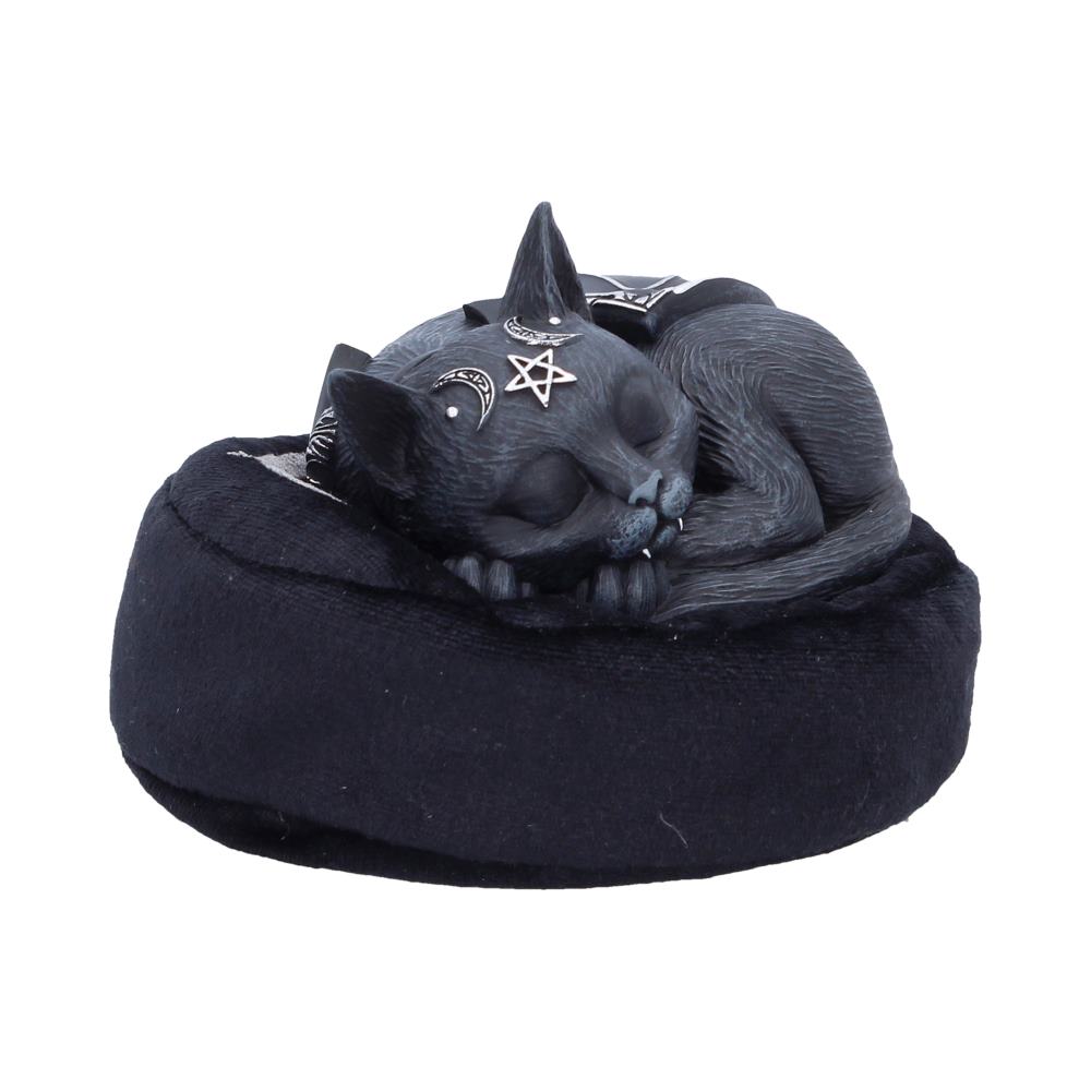Cult Cutie Collectable - Malpuss Dreams