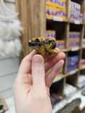 Tigers Eye Crystal Bear Carving