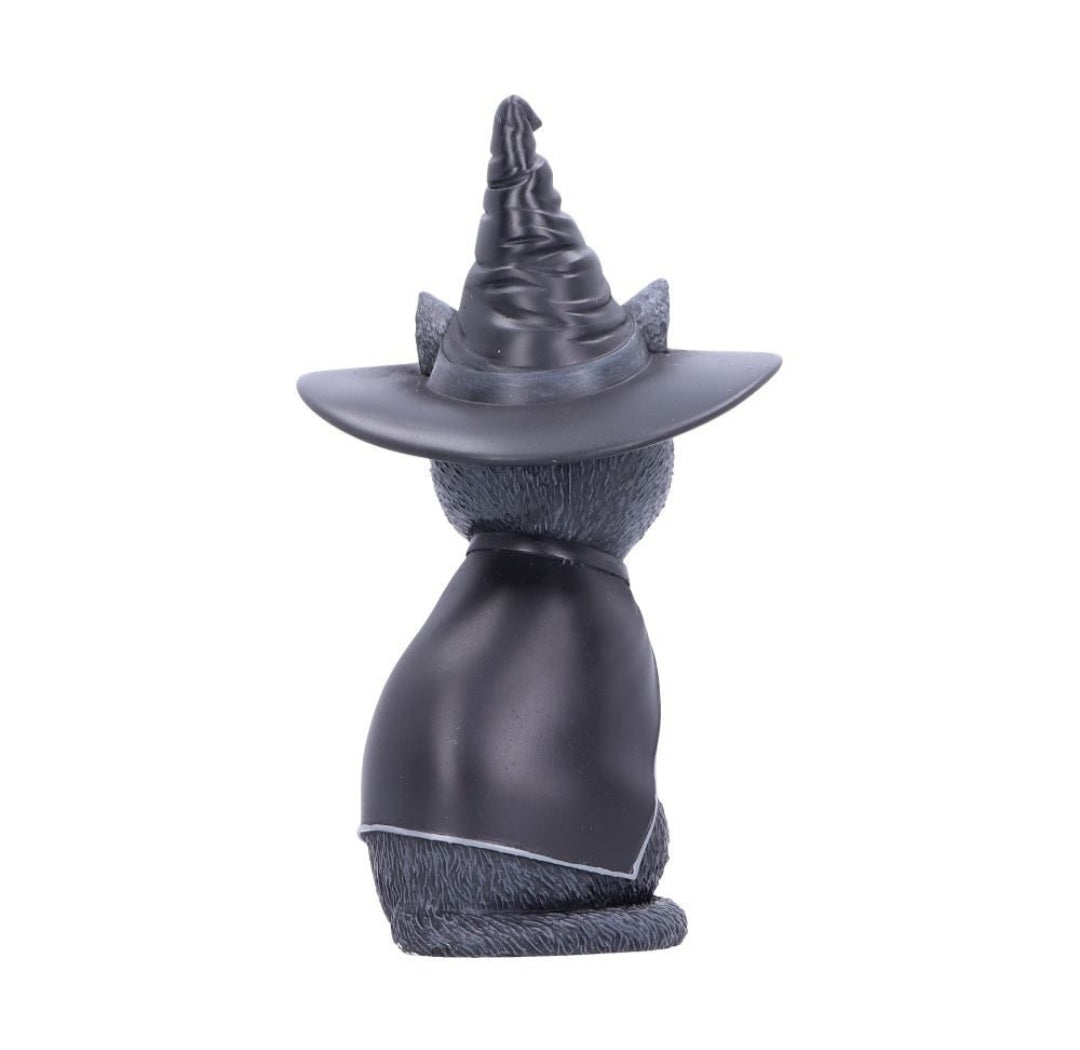 Cult Cutie Collectable - Purrah