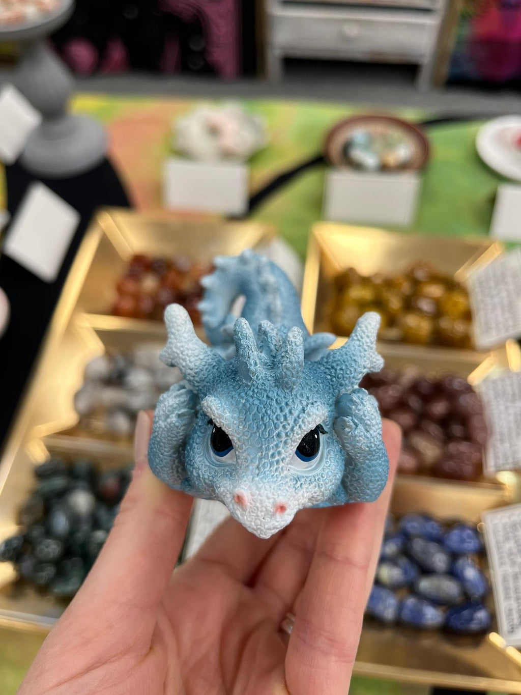 Coral Dragon - Blue