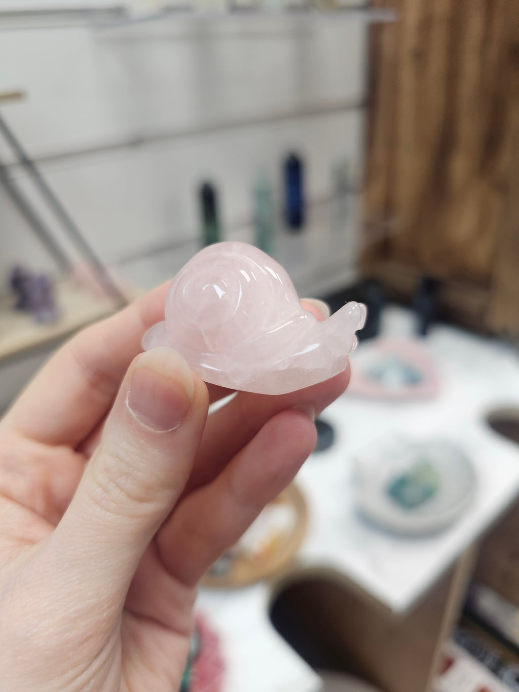 Rose Quartz Snail Crystal Carving