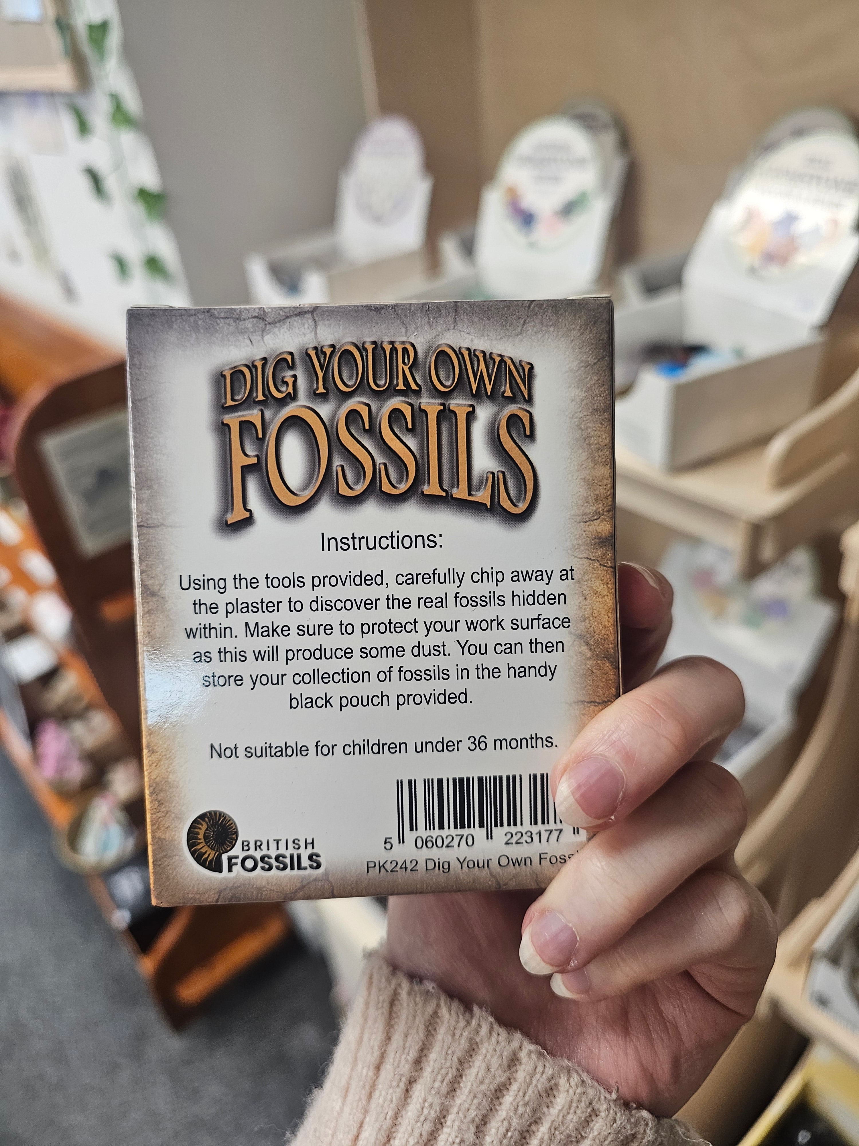 Dig Your Own Fossils (Small) Gift Set