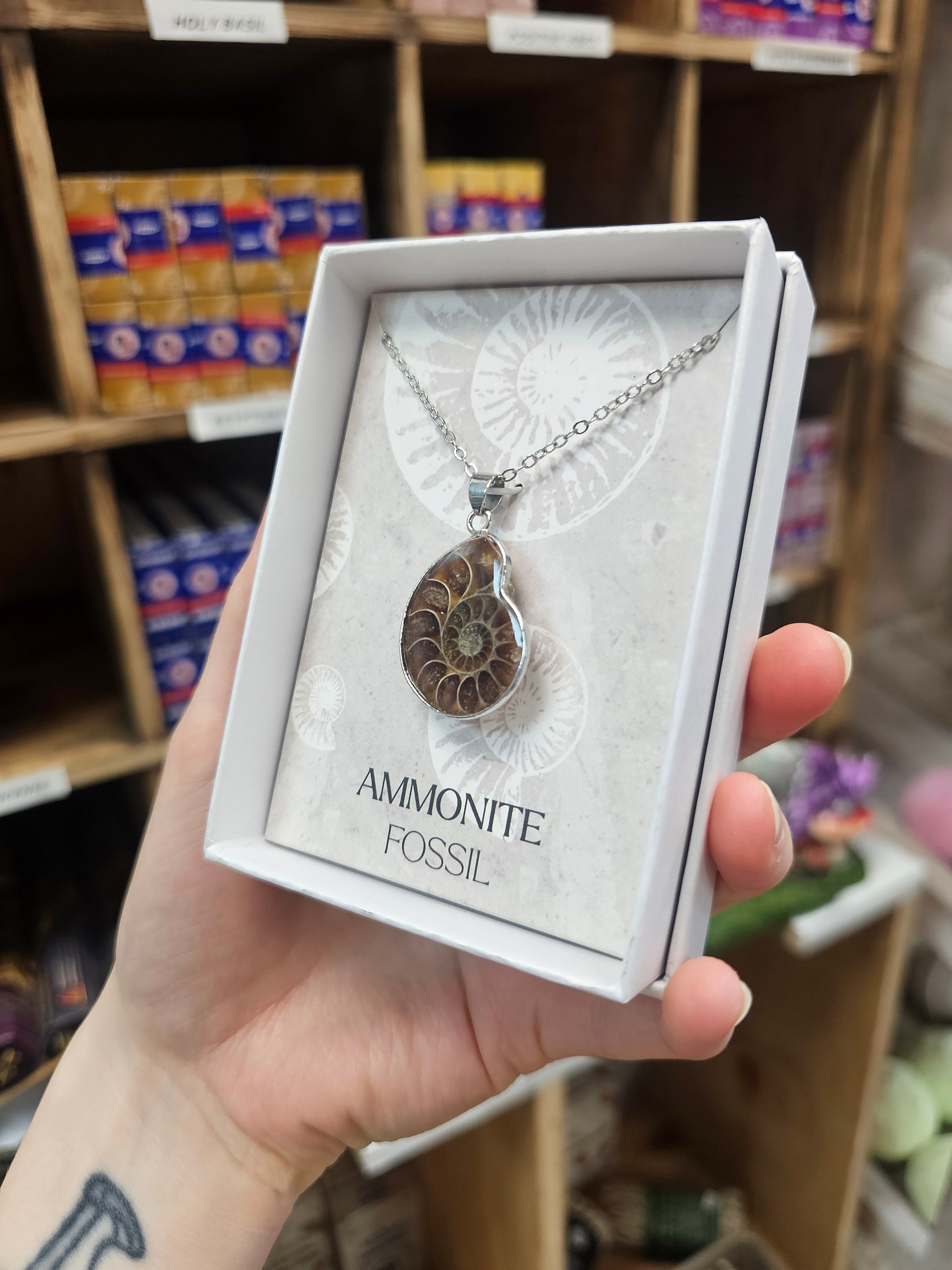 Ammonite Necklace