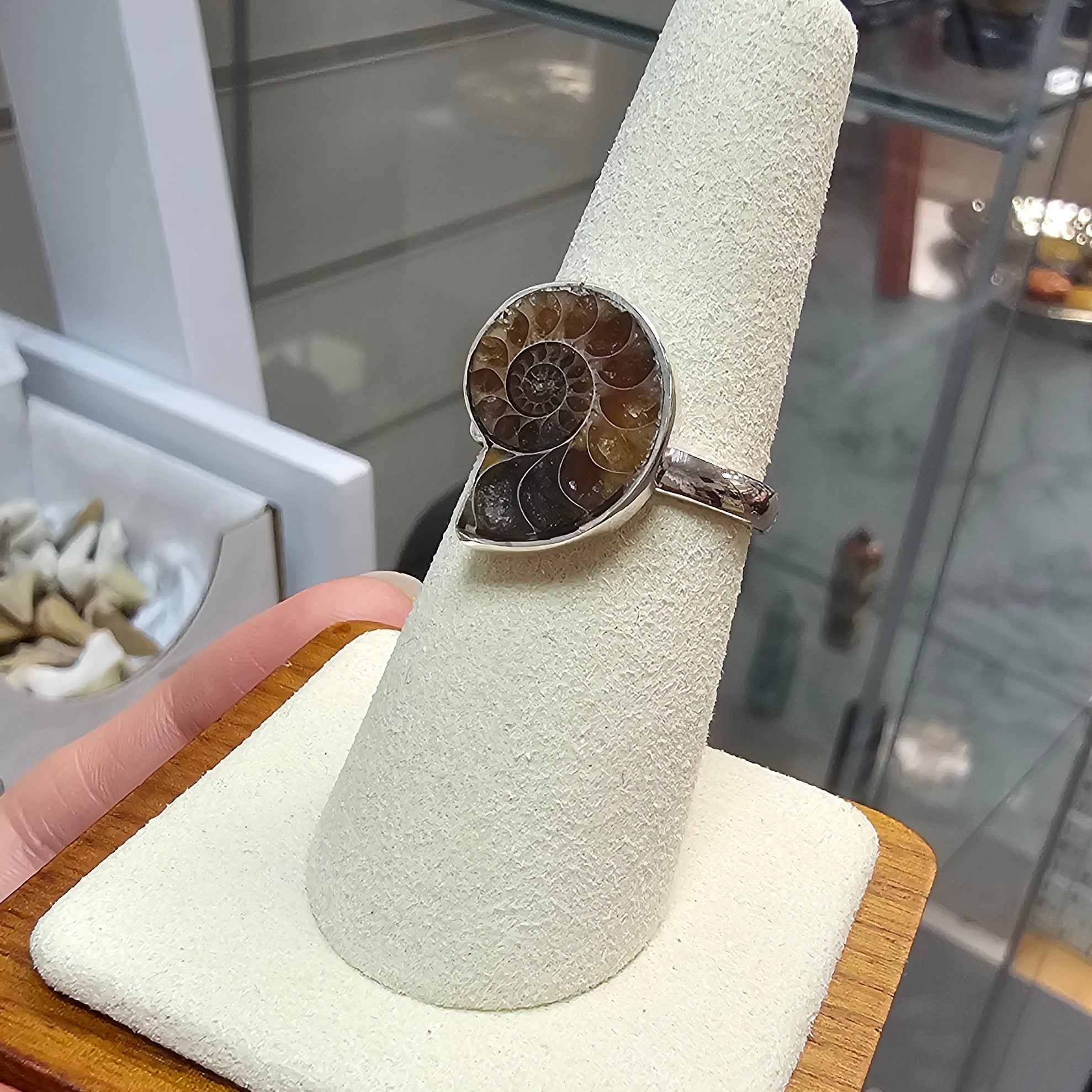 Fossil Ammonite  Crystal Ring 925 Silver - Size 8 / P