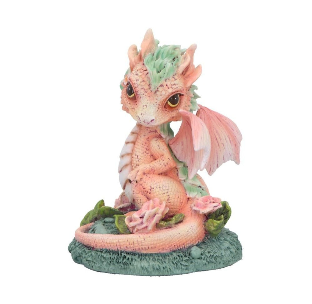 Carnation Dragon Collectable