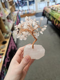 Rose Quartz Crystal Tree
