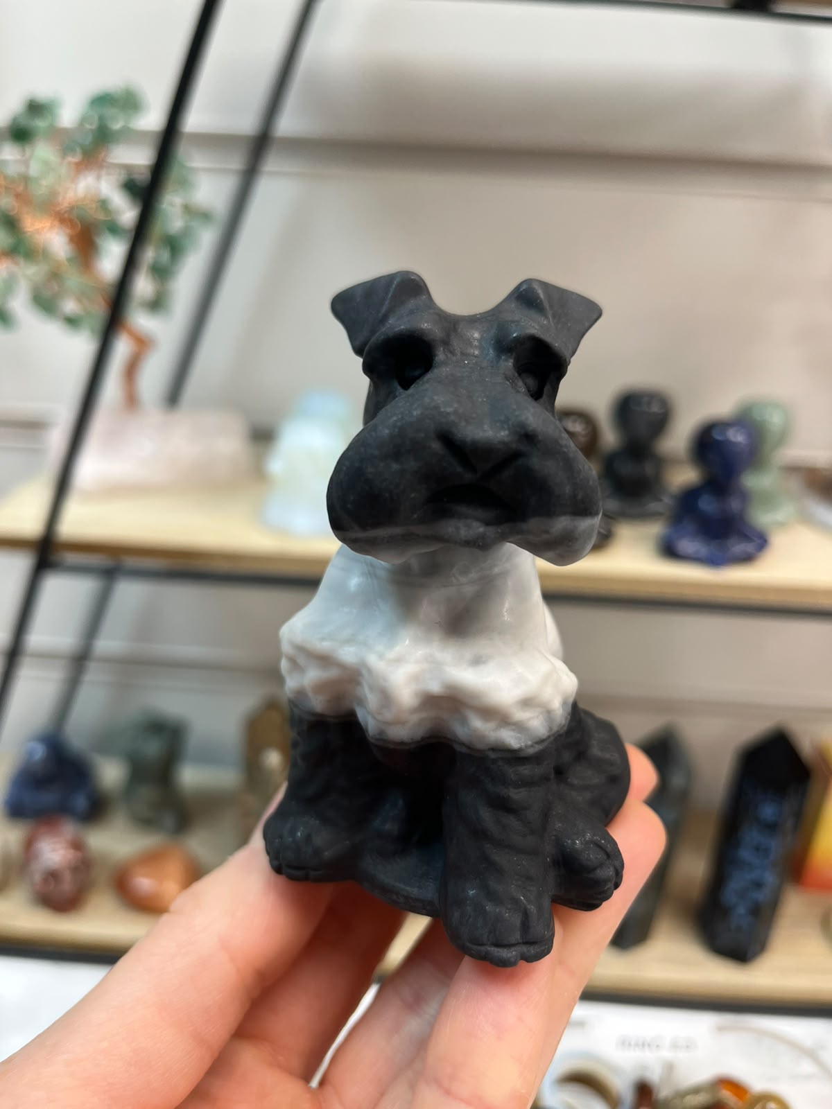 Schnauzer Dog Crystal Carving - Zebra Calcite