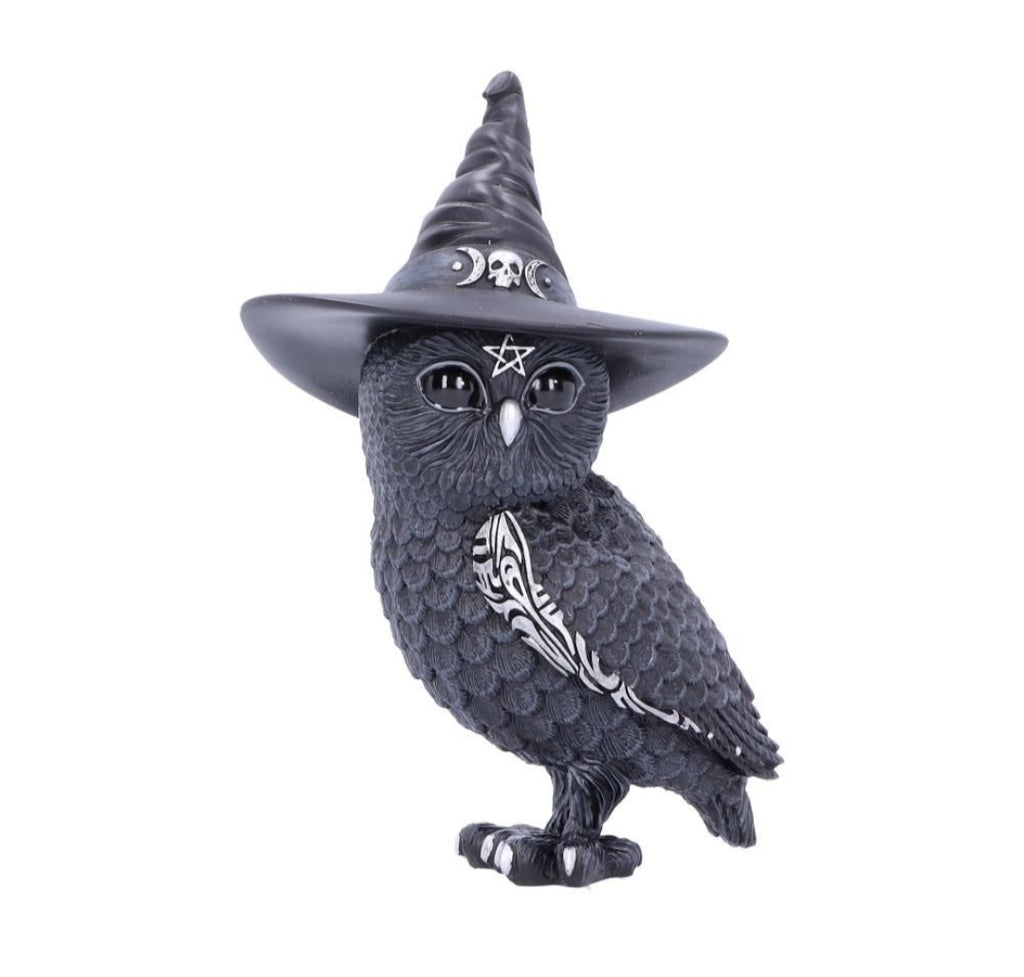 Cult Cutie Collectable - Owlocen