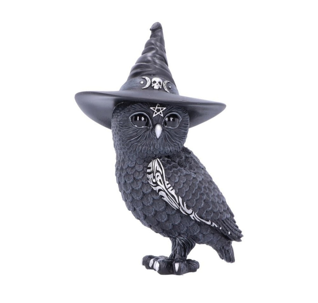 Cult Cutie Collectable - Owlocen