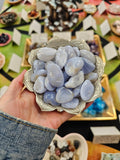 Blue Chalcedony Tumblestone Crystal