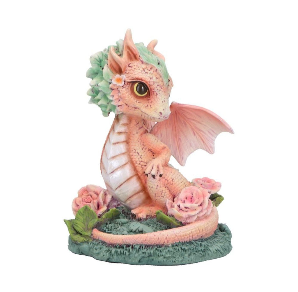 Carnation Dragon Collectable