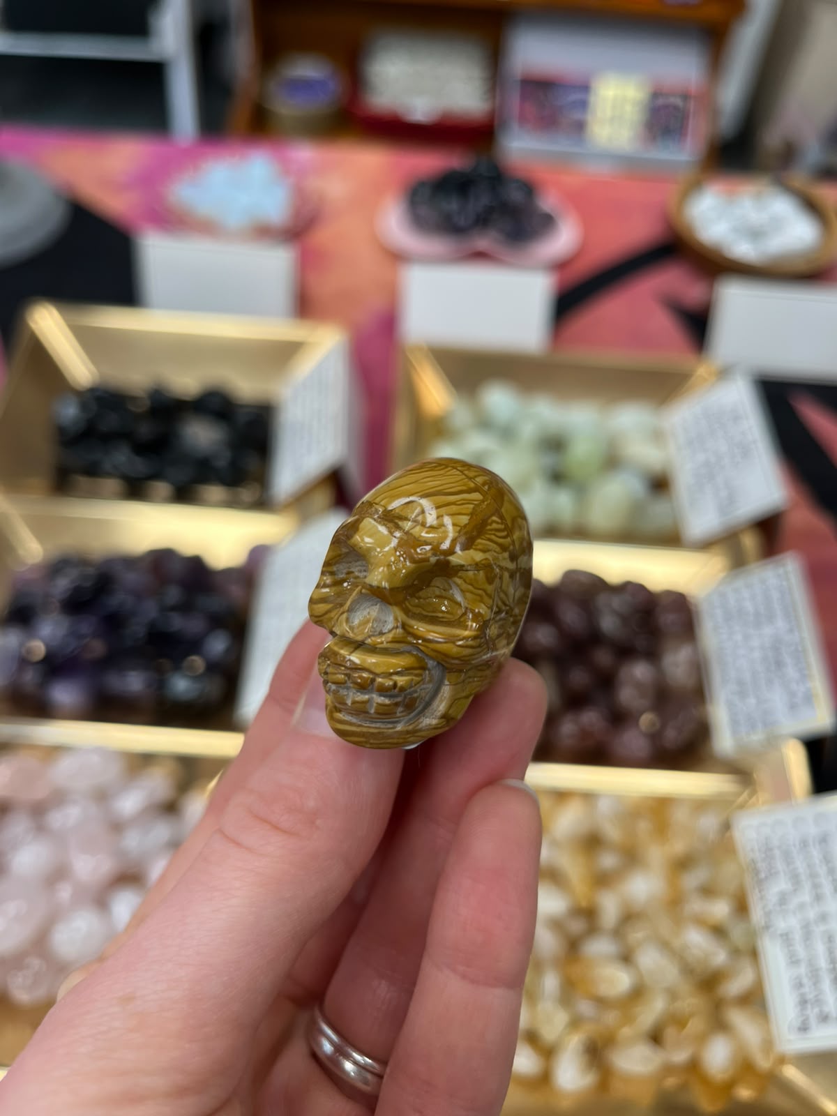 Petrified Wood Skull Carving