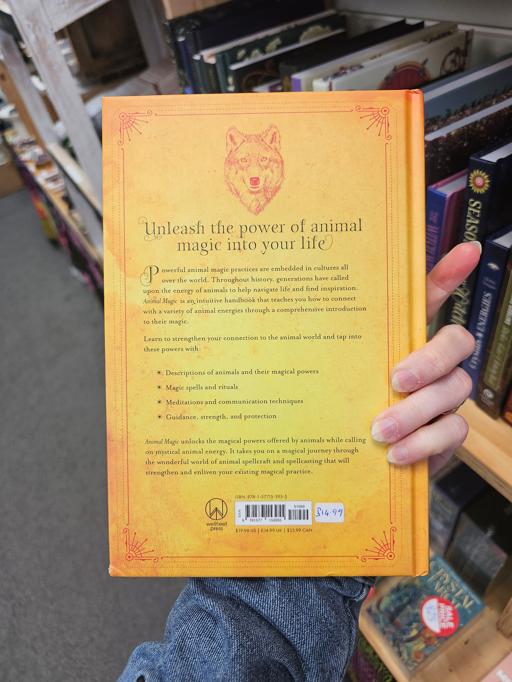 Animal Magic Book