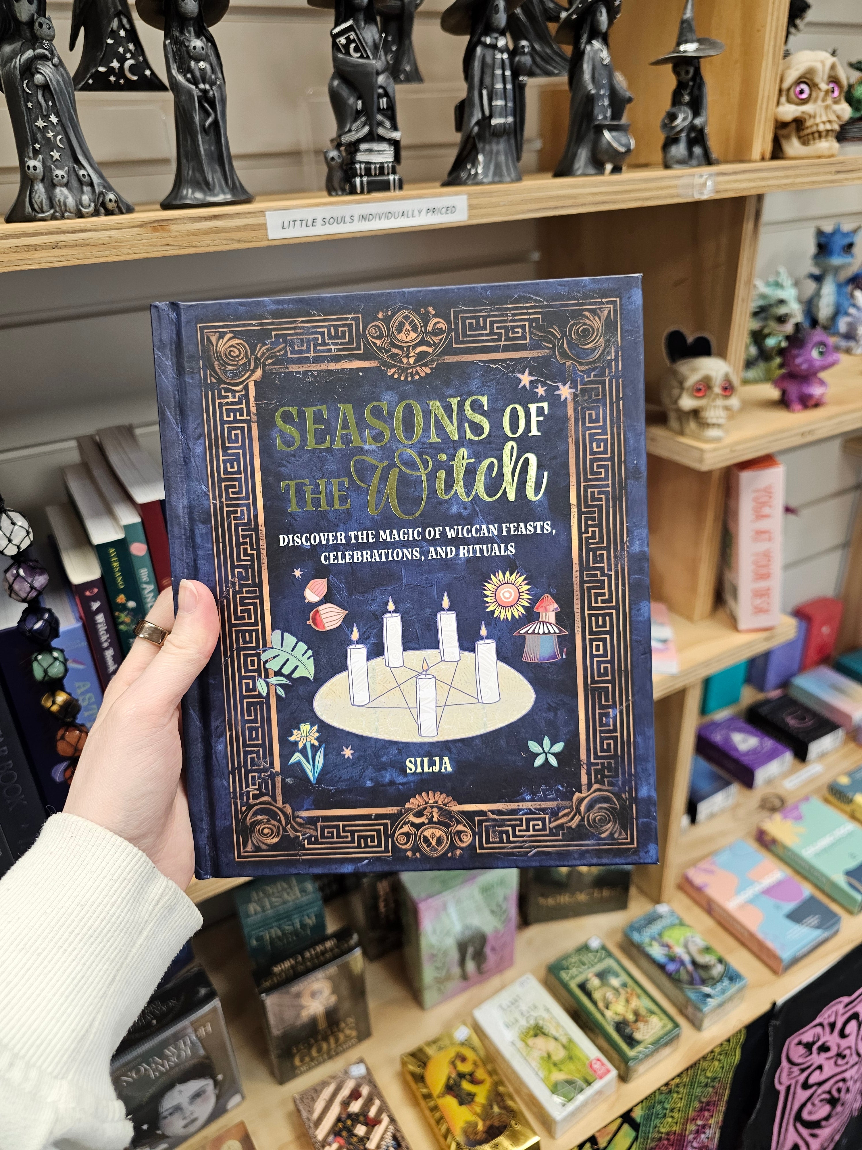 Seasons Of The Witch Book