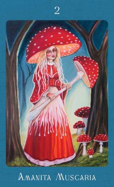 Mushroom Folk Oracle Card Deck