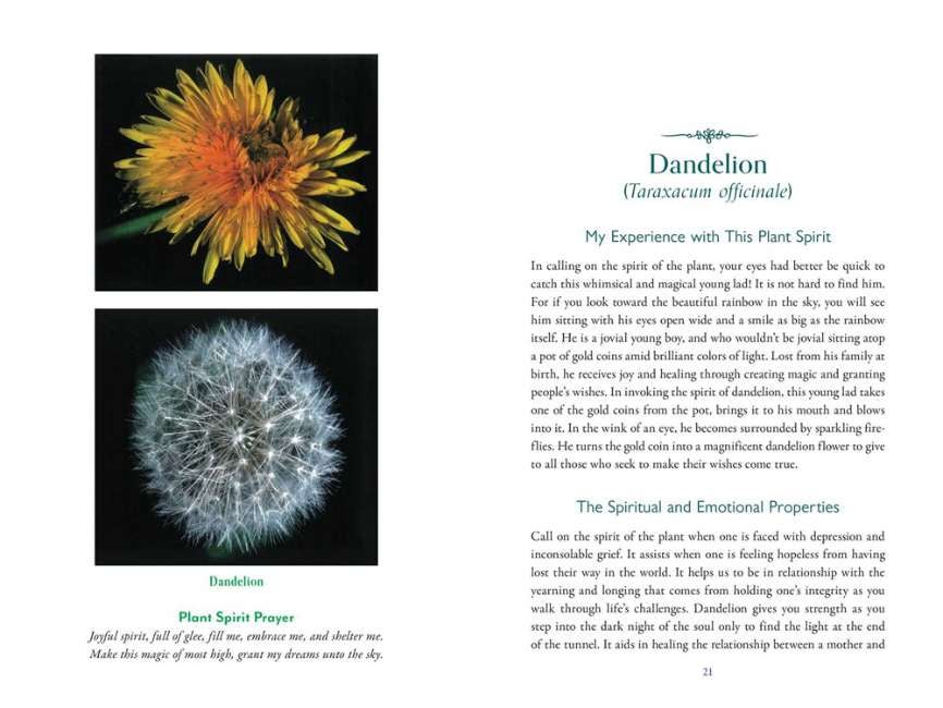 The Divine Nature Of Plants Book