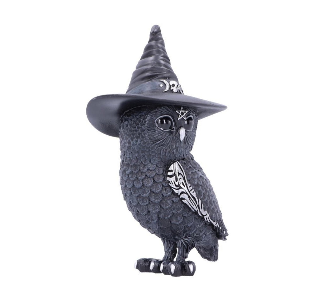 Cult Cutie Collectable - Owlocen