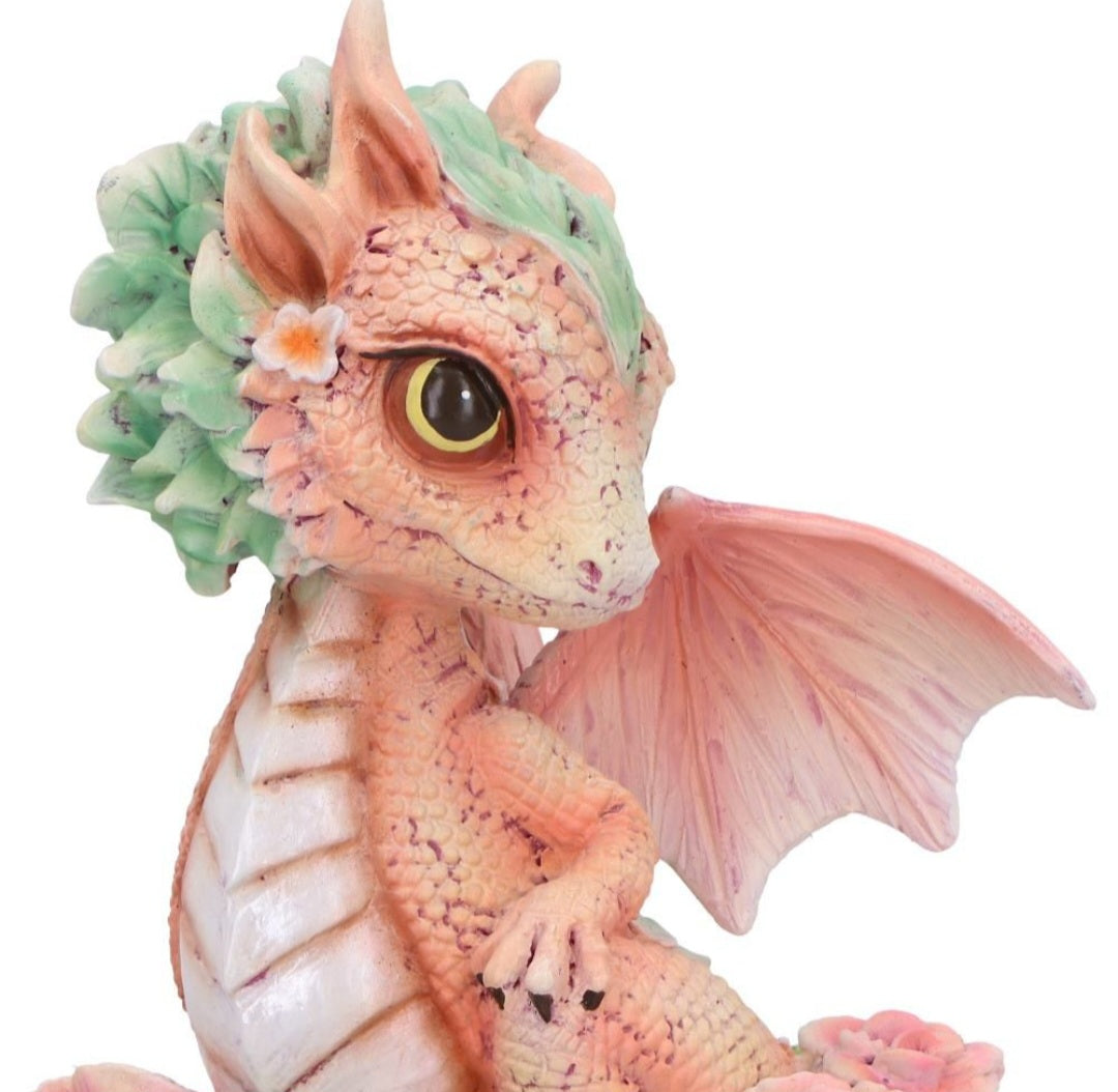 Carnation Dragon Collectable