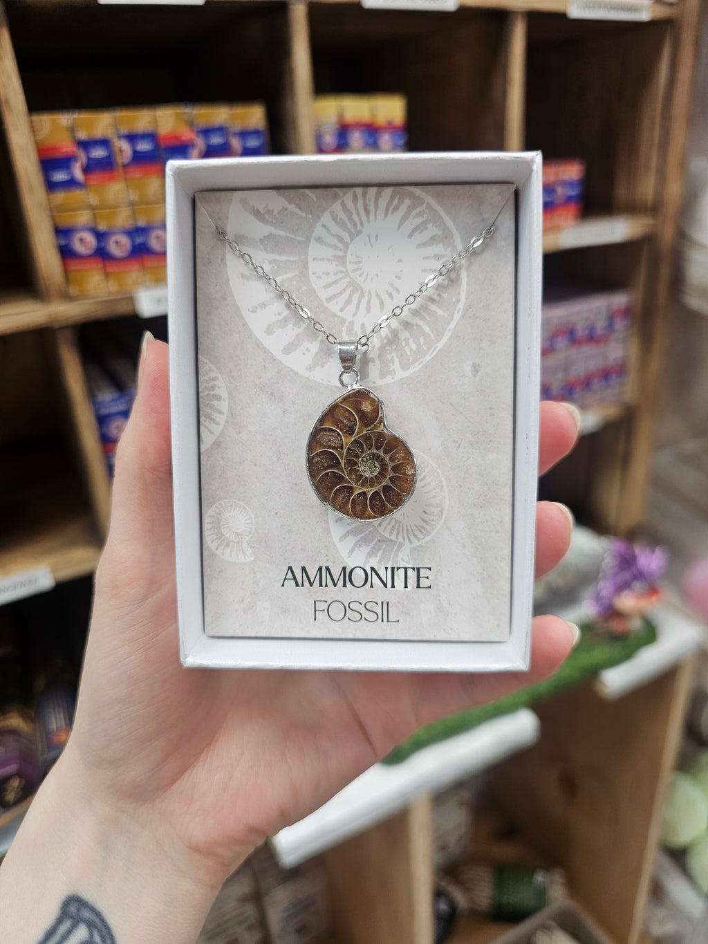 Ammonite Necklace