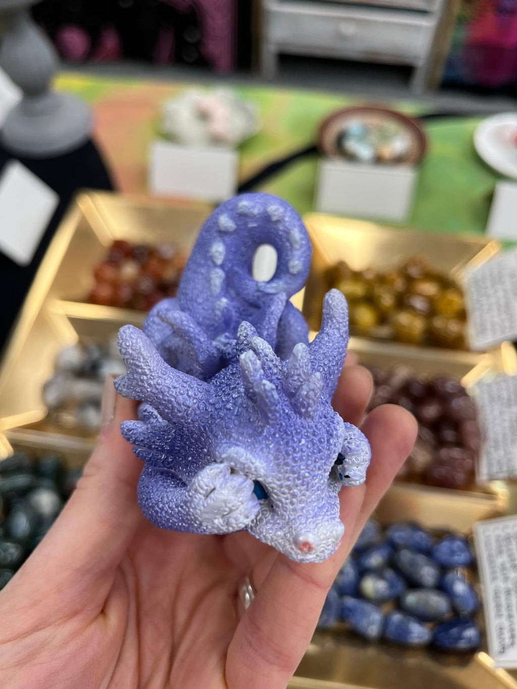 Coral Dragon - Purple