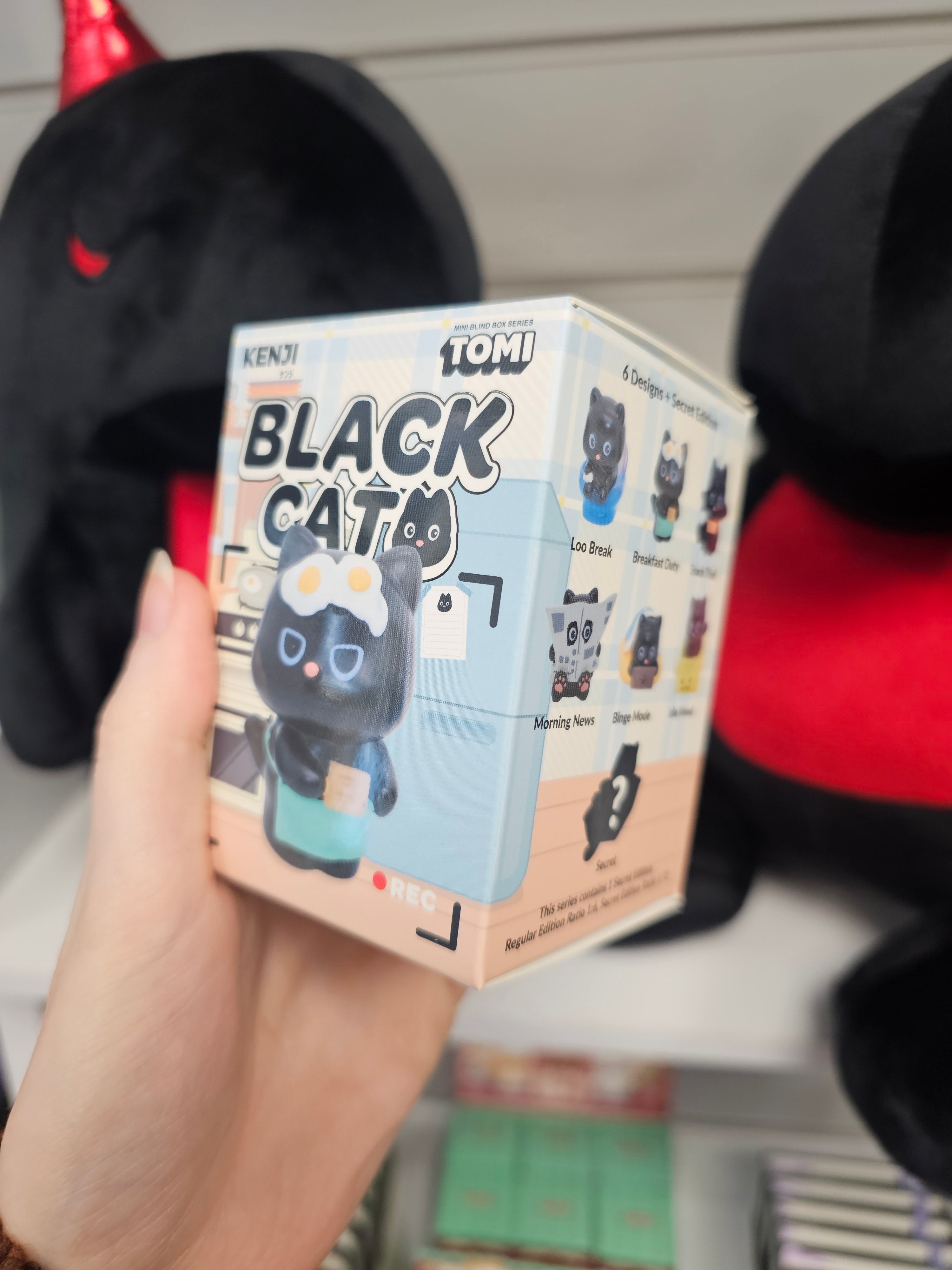 Black Cat KENJI Mystery Box Figurine