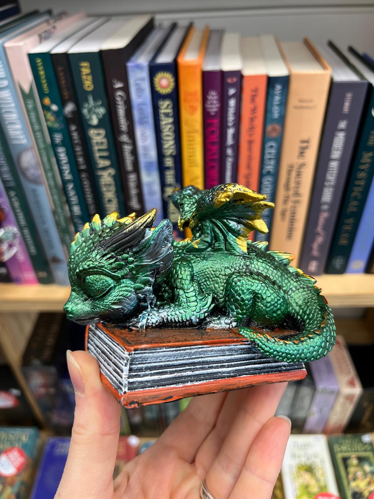 Sleeping Dragon On Book