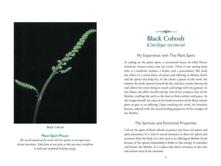 The Divine Nature Of Plants Book