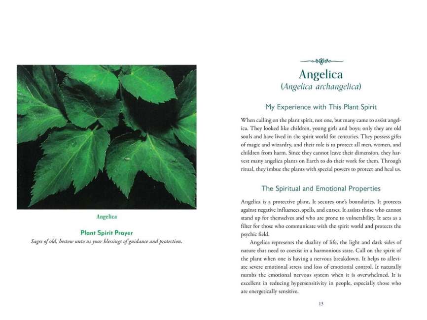 The Divine Nature Of Plants Book