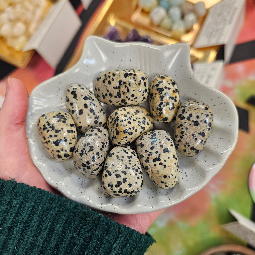 Dalmatian Jasper Crystal Tumblestone