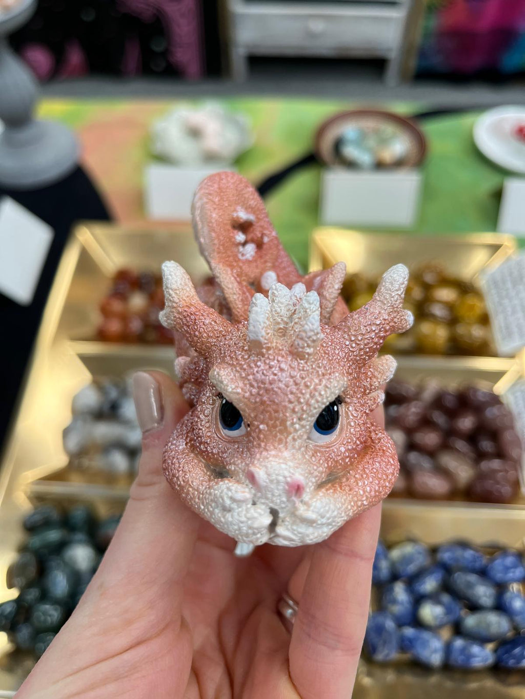 Coral Dragon - Orange