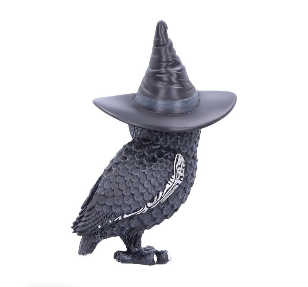 Cult Cutie Collectable - Owlocen