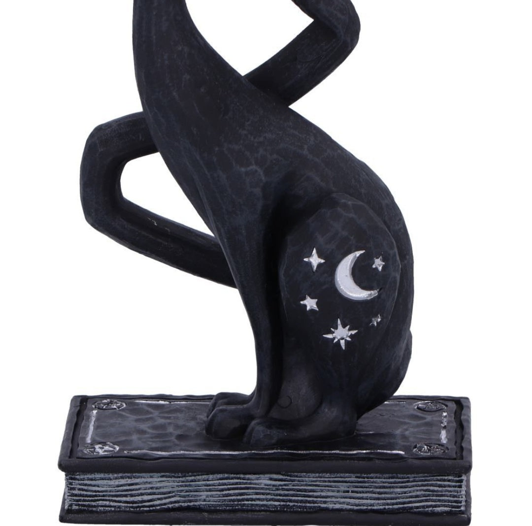 Spell Cat Collectable - Enchant