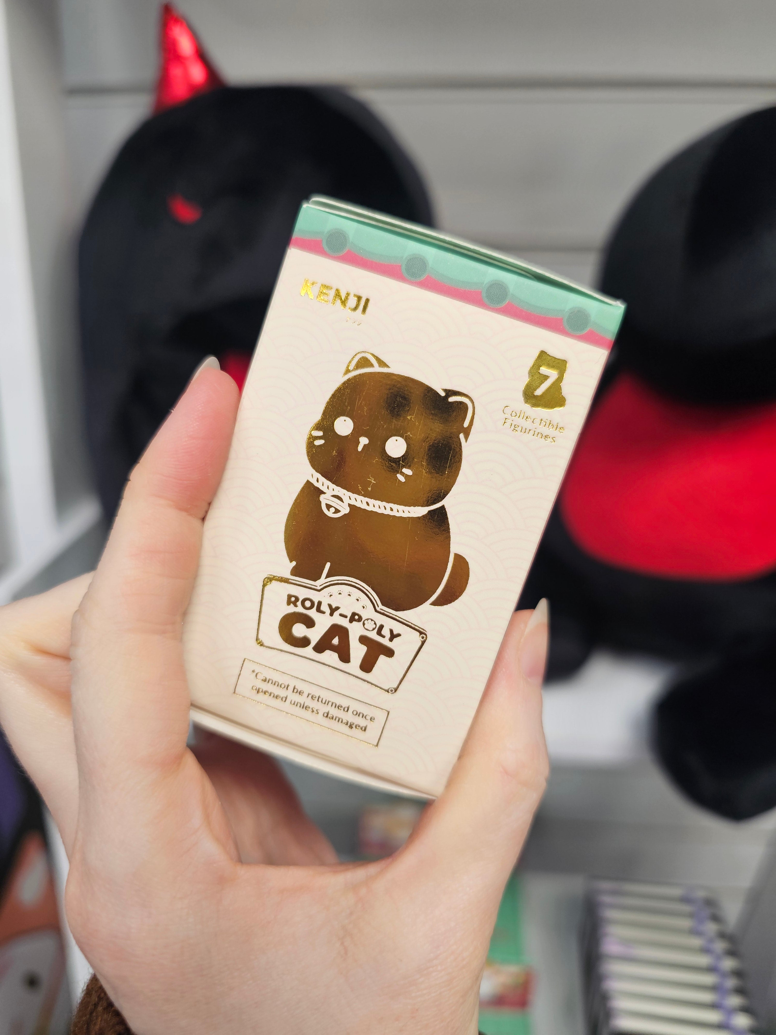 Roly-Poly Cat KENJI Mystery Box Figurine