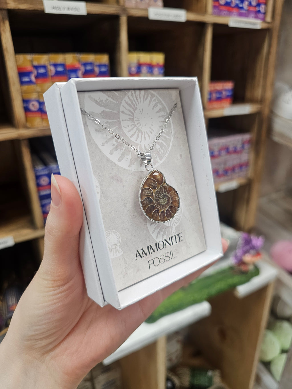 Ammonite Necklace