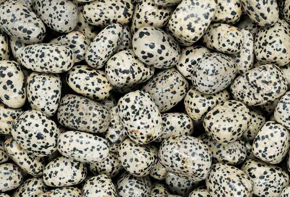 Dalmatian Jasper Crystal Tumblestone