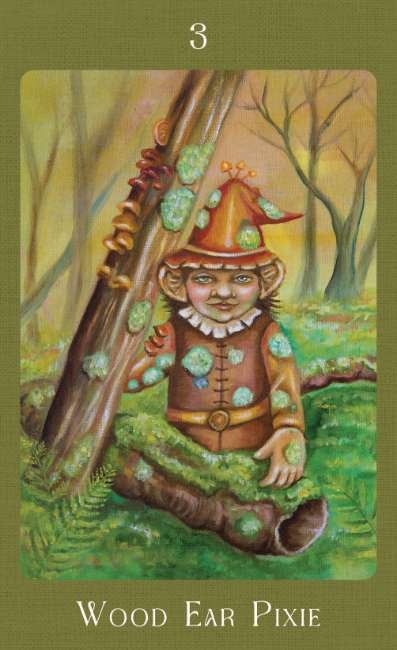 Mushroom Folk Oracle Card Deck
