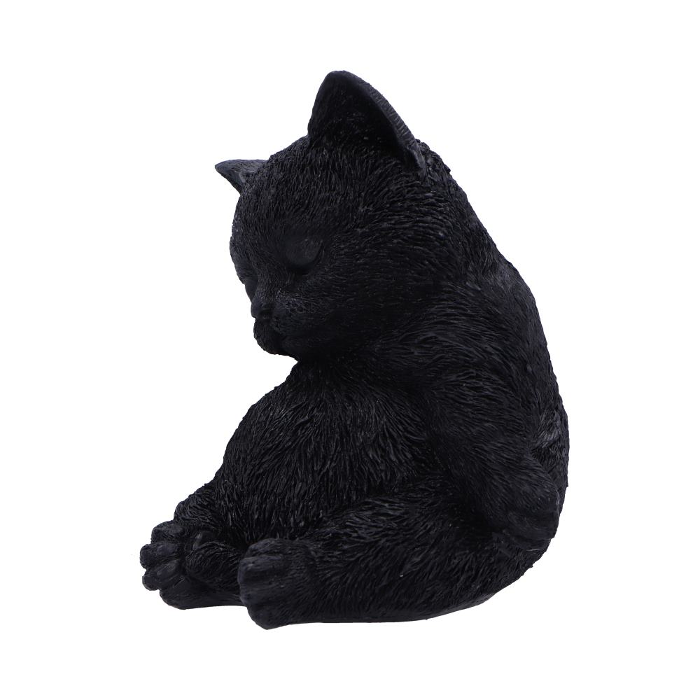 Daydream Sleeping Cat