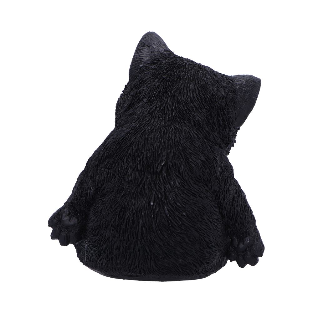 Daydream Sleeping Cat