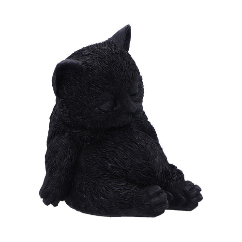 Daydream Sleeping Cat