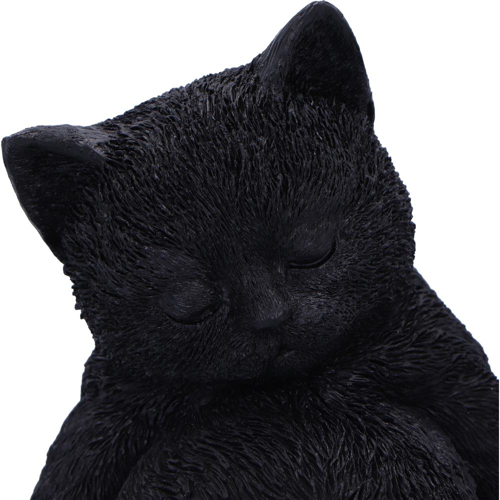 Daydream Sleeping Cat