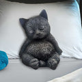 Daydream Sleeping Cat