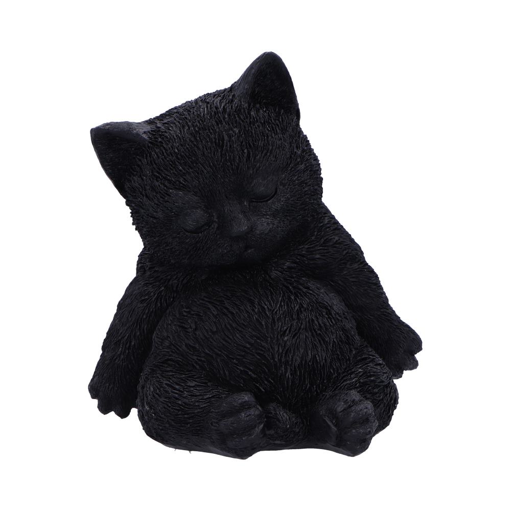 Daydream Sleeping Cat