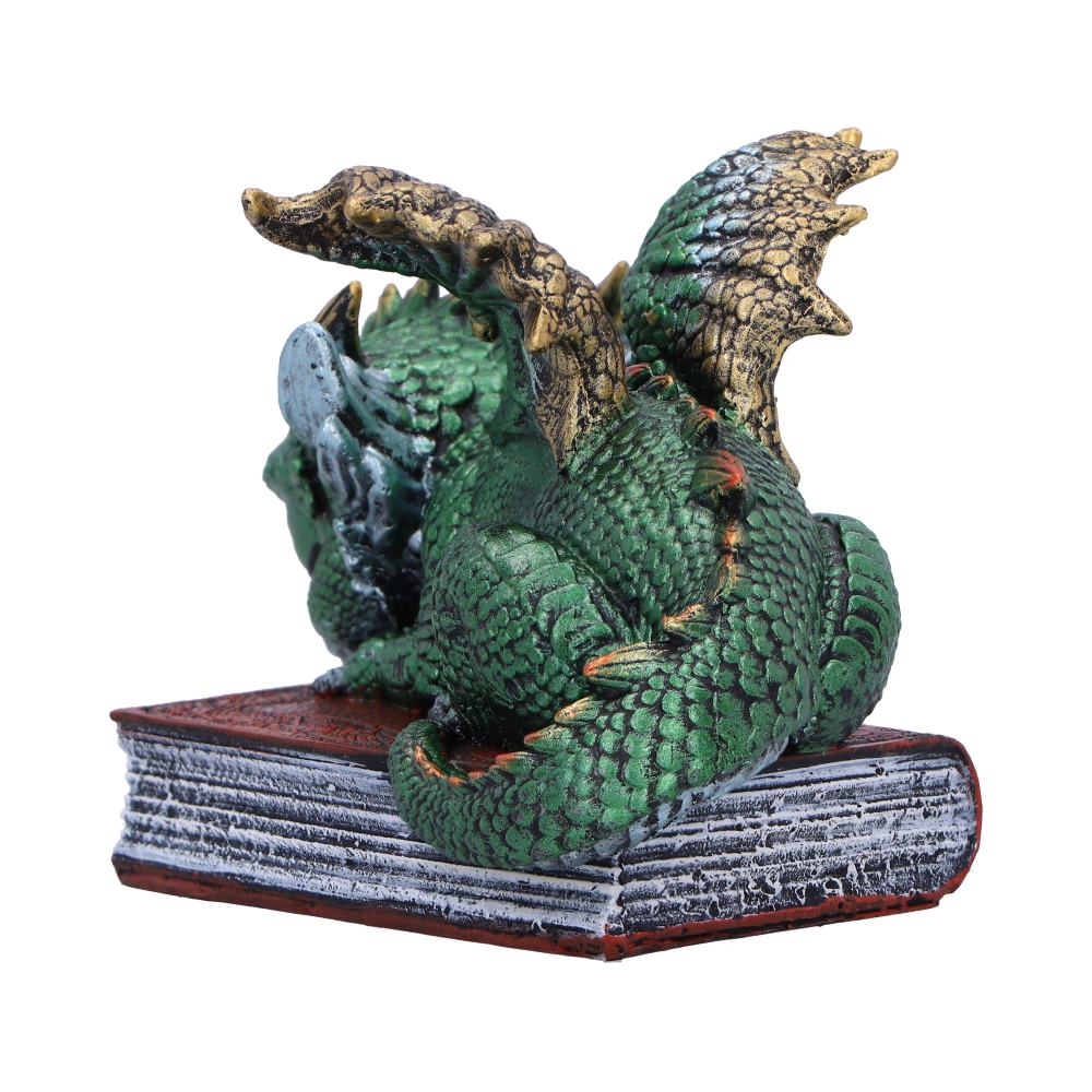 Sleeping Dragon On Books